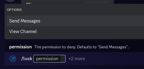 A Discord screenshot of the lock command providing only two choices. The first choice is Send Messages, while the second choice is View Channel.